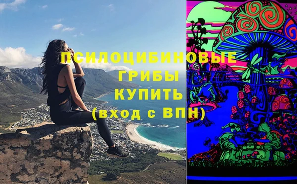 PSILOCYBIN Аркадак