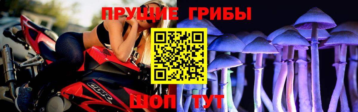магазин  наркотиков  Вход с VPN  Белово  Псилоцибиновые грибы GOLDEN TEACHER 
